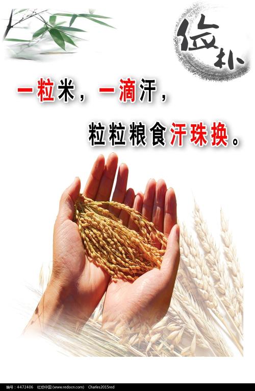 自由大学本科offer